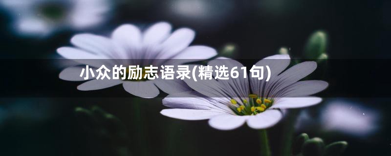 小众的励志语录(精选61句)