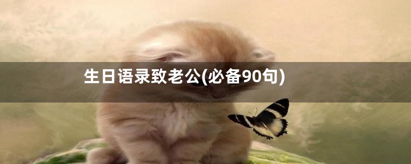 生日语录致老公(必备90句)