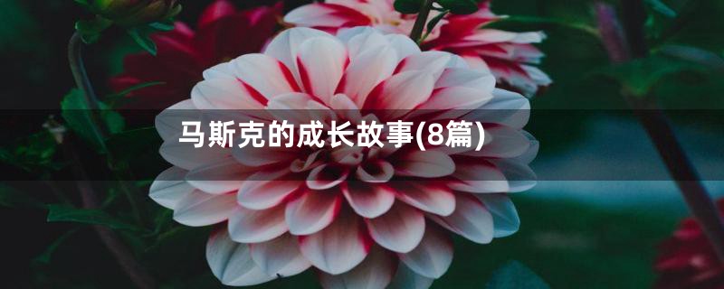 马斯克的成长故事(8篇)