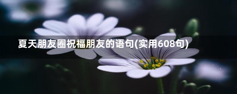 夏天朋友圈祝福朋友的语句(实用608句)