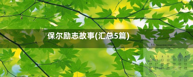 保尔励志故事(汇总5篇)