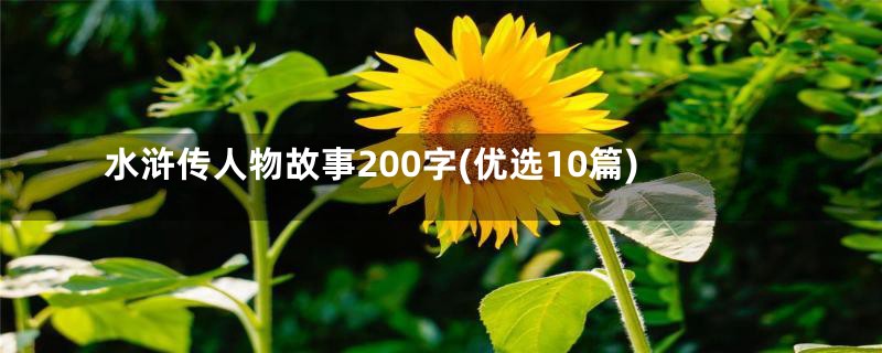 水浒传人物故事200字(优选10篇)