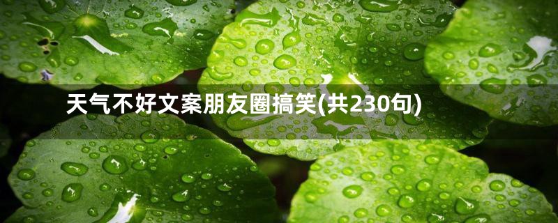 天气不好文案朋友圈搞笑(共230句)