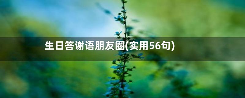 生日答谢语朋友圈(实用56句)