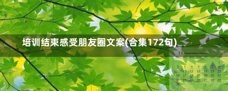 培训结束感受朋友圈文案(合集172句)