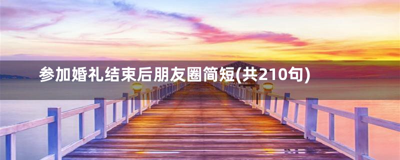 参加婚礼结束后朋友圈简短(共210句)