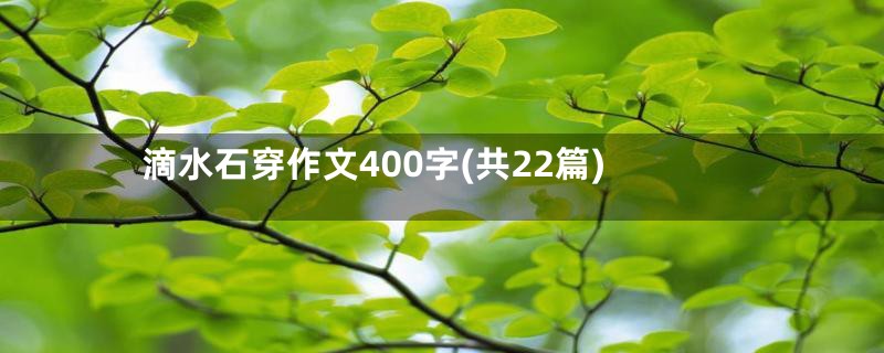 滴水石穿作文400字(共22篇)