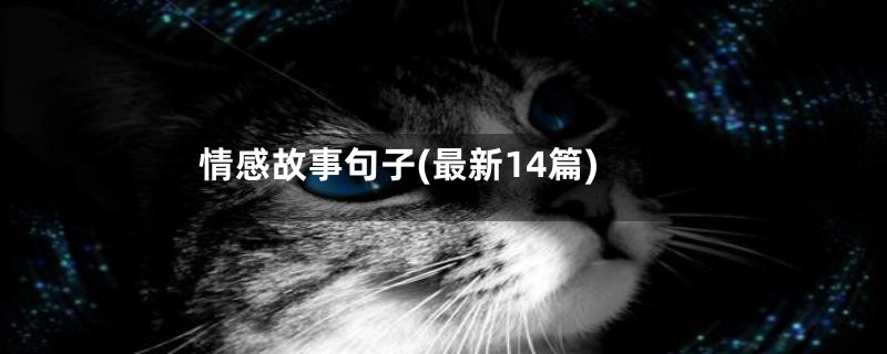 情感故事句子(最新14篇)