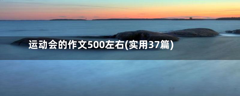 运动会的作文500左右(实用37篇)