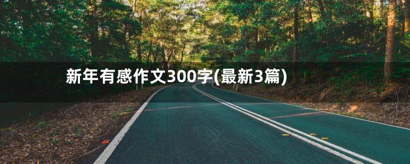 新年有感作文300字(最新3篇)