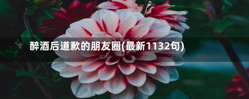 醉酒后道歉的朋友圈(最新1132句)