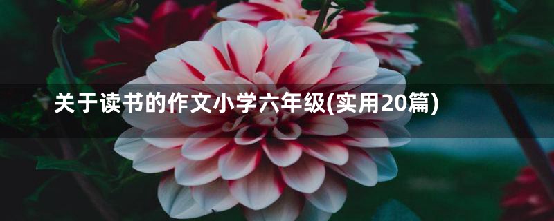 关于读书的作文小学六年级(实用20篇)