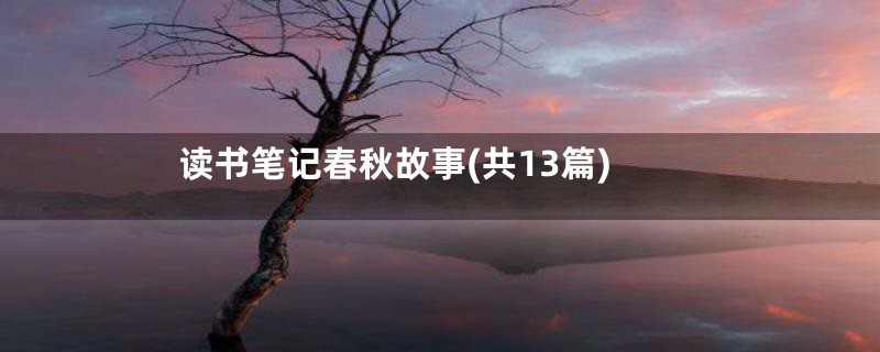 读书笔记春秋故事(共13篇)