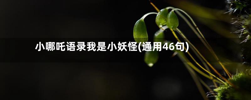 小哪吒语录我是小妖怪(通用46句)