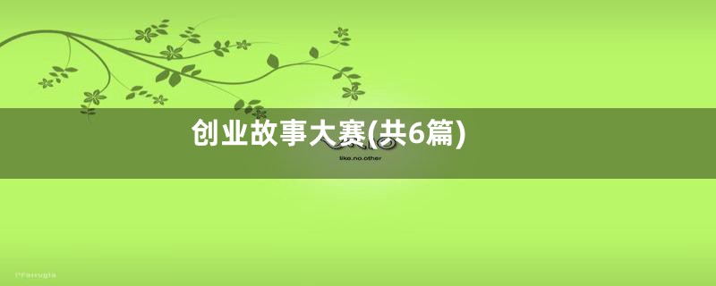 创业故事大赛(共6篇)