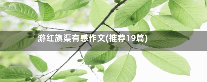 游红旗渠有感作文(推荐19篇)