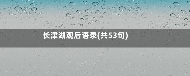 长津湖观后语录(共53句)