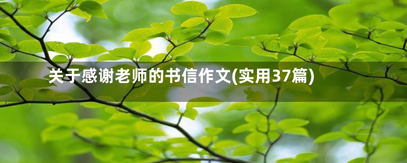 关于感谢老师的书信作文(实用37篇)