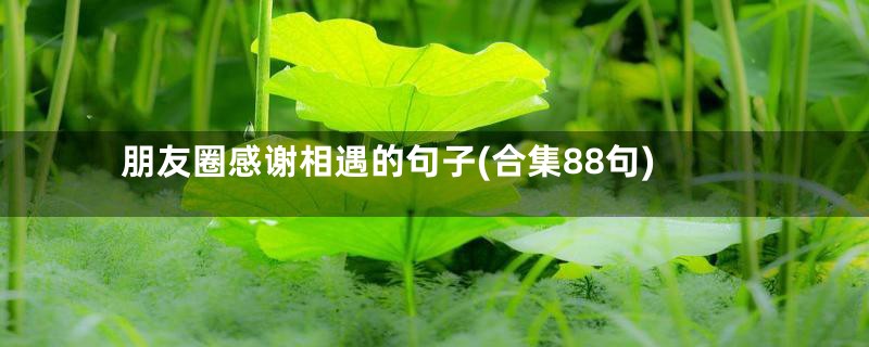 朋友圈感谢相遇的句子(合集88句)