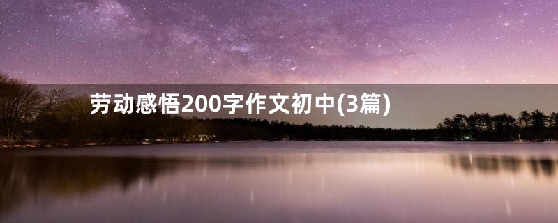 劳动感悟200字作文初中(3篇)