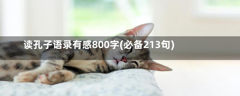 读孔子语录有感800字(必备213句)