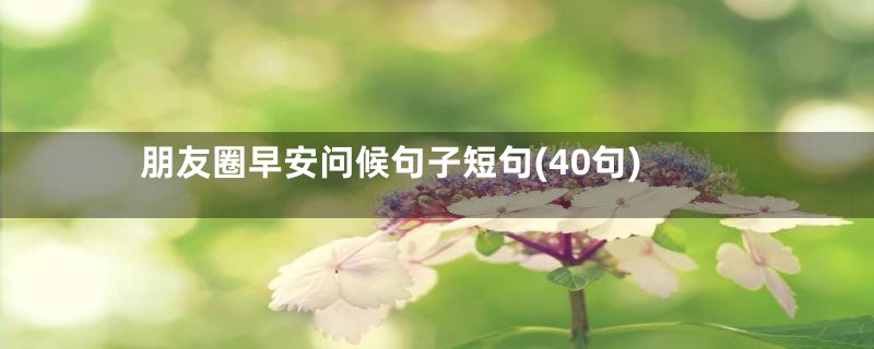 朋友圈早安问候句子短句(40句)