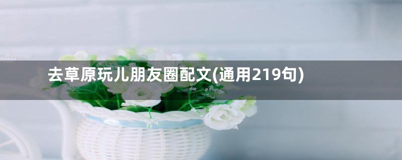 去草原玩儿朋友圈配文(通用219句)