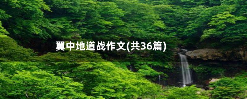 翼中地道战作文(共36篇)