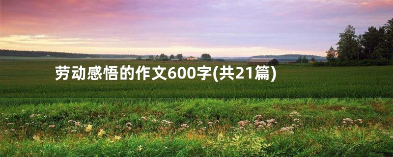 劳动感悟的作文600字(共21篇)