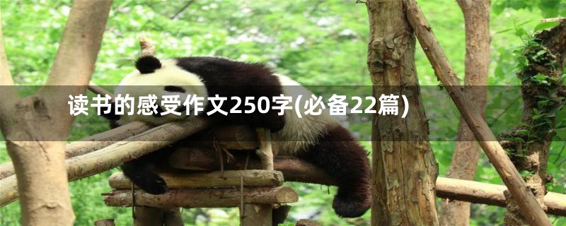 读书的感受作文250字(必备22篇)