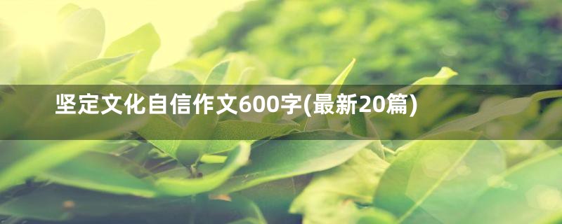 坚定文化自信作文600字(最新20篇)