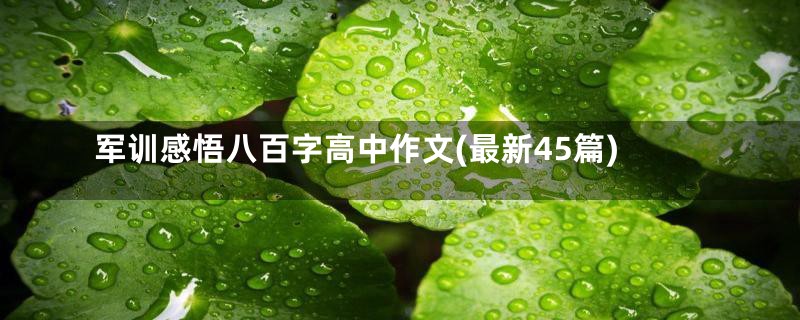 军训感悟八百字高中作文(最新45篇)