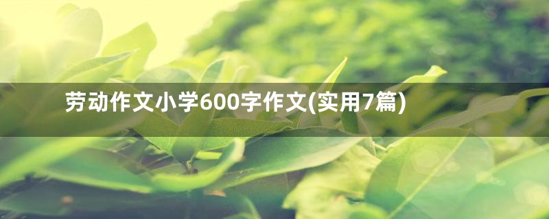 劳动作文小学600字作文(实用7篇)