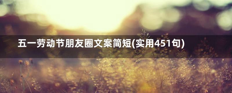 五一劳动节朋友圈文案简短(实用451句)