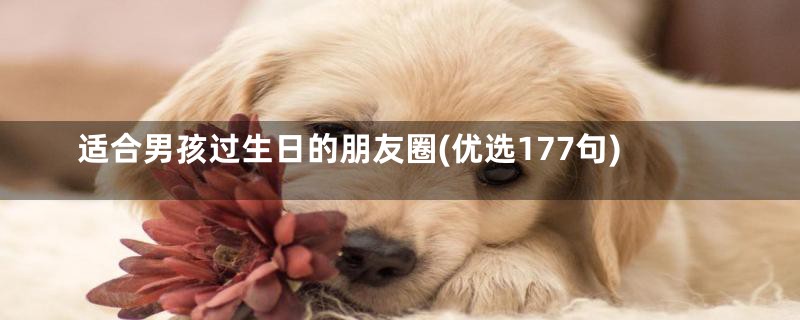 适合男孩过生日的朋友圈(优选177句)