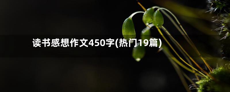 读书感想作文450字(热门19篇)