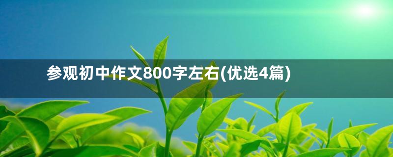 参观初中作文800字左右(优选4篇)