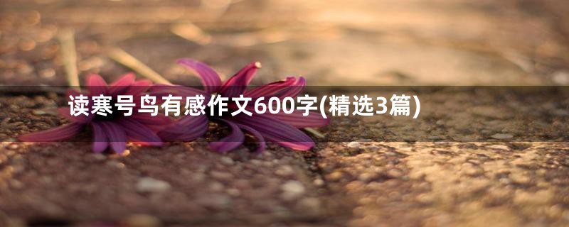 读寒号鸟有感作文600字(精选3篇)