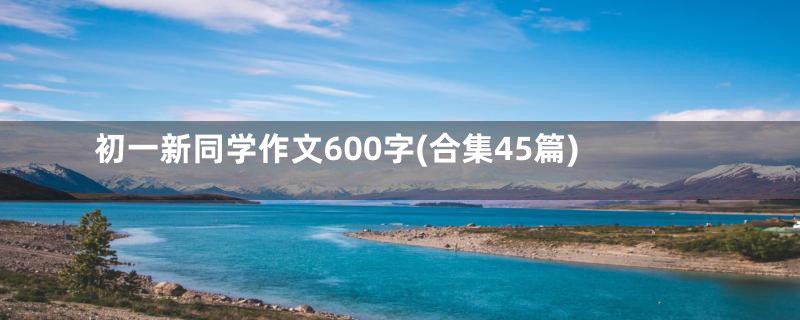 初一新同学作文600字(合集45篇)