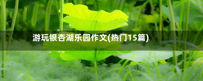 游玩银杏湖乐园作文(热门15篇)