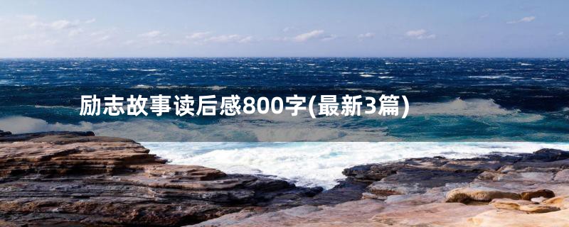 励志故事读后感800字(最新3篇)