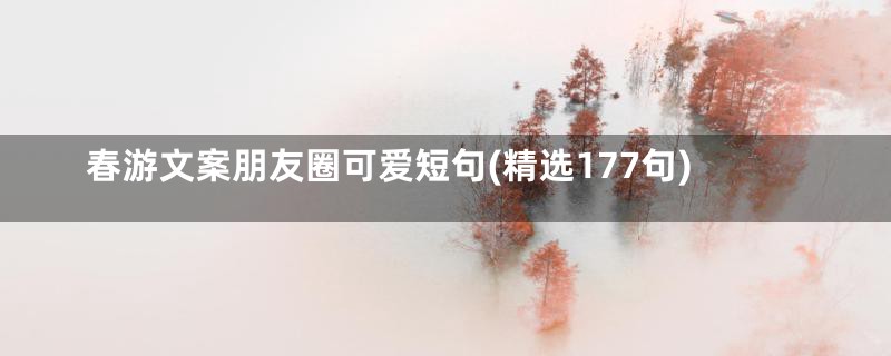 春游文案朋友圈可爱短句(精选177句)