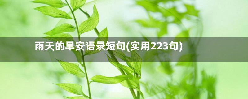 雨天的早安语录短句(实用223句)