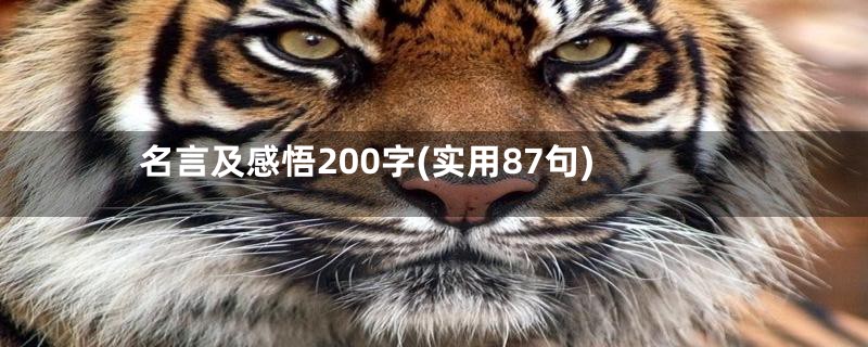 名言及感悟200字(实用87句)