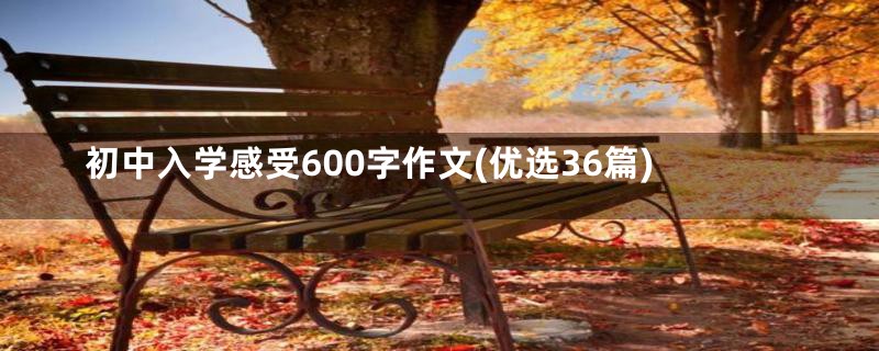 初中入学感受600字作文(优选36篇)