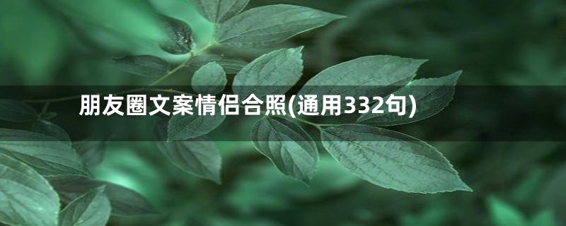 朋友圈文案情侣合照(通用332句)