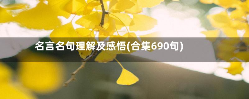 名言名句理解及感悟(合集690句)