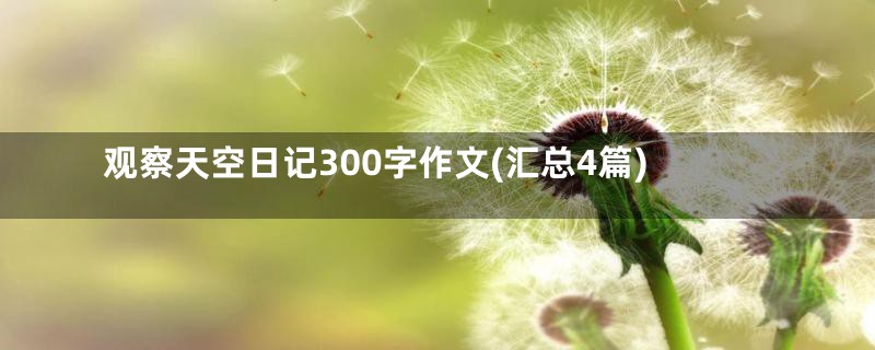 观察天空日记300字作文(汇总4篇)