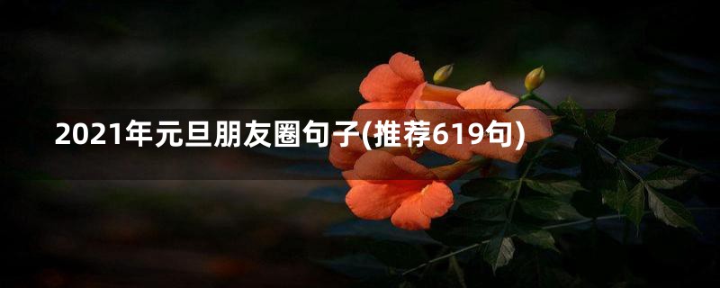 2021年元旦朋友圈句子(推荐619句)