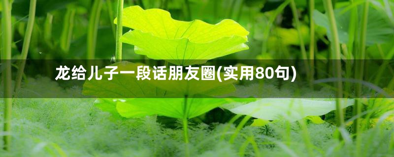 龙给儿子一段话朋友圈(实用80句)